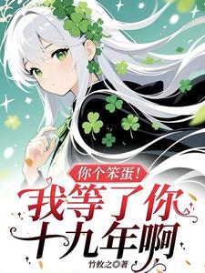你个笨蛋！我等了你十九年啊